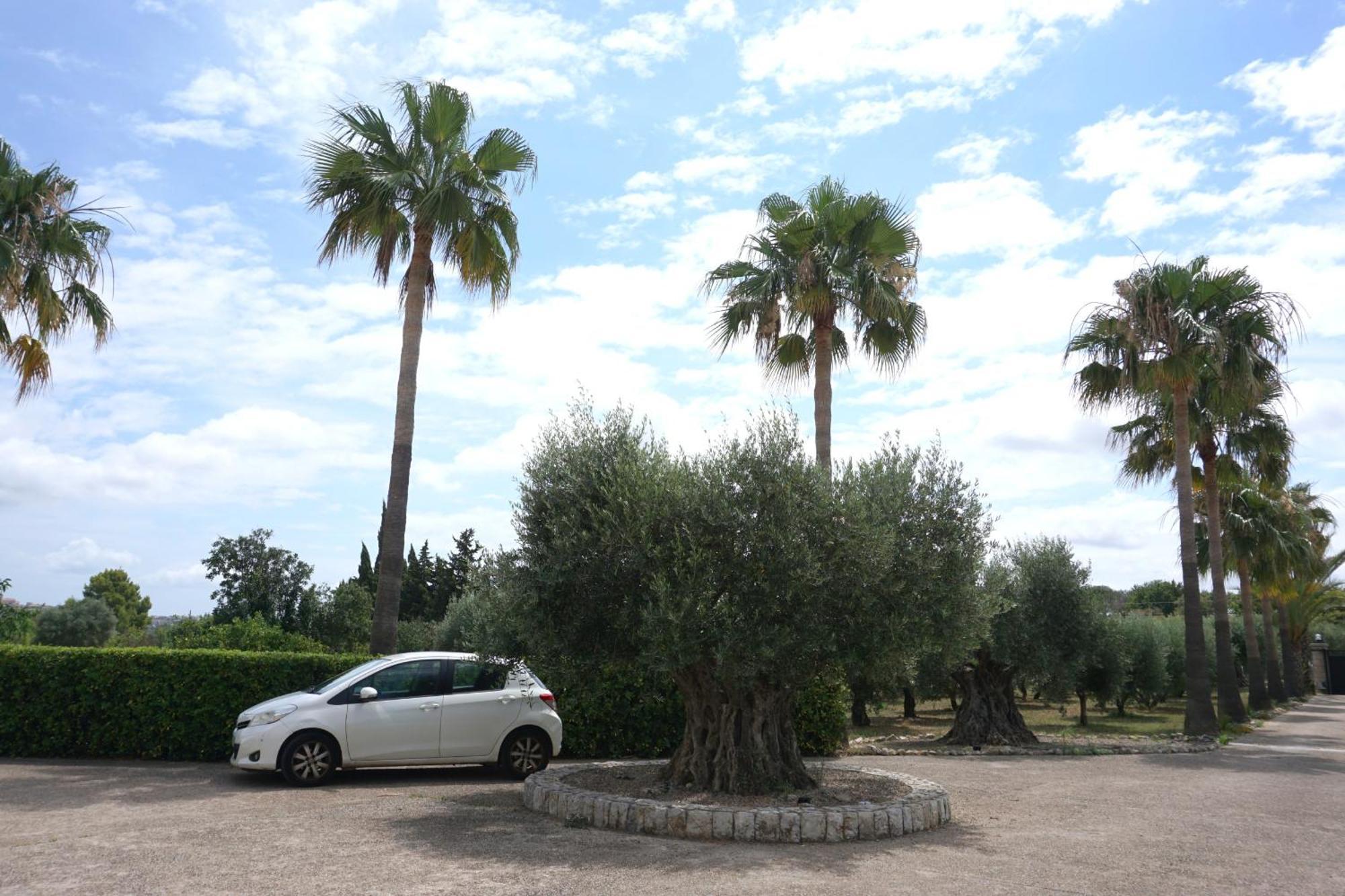 Sa Caseta * Moscari